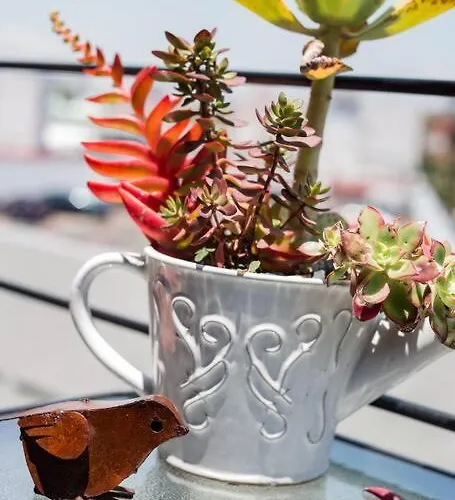 Savor Views Over Breakfast At A Bold, Bohemian Escape Apartamento México DF