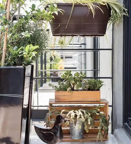 Savor Views Over Breakfast At A Bold, Bohemian Escape * México DF